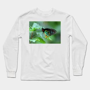 The Cairns Birdwing Long Sleeve T-Shirt